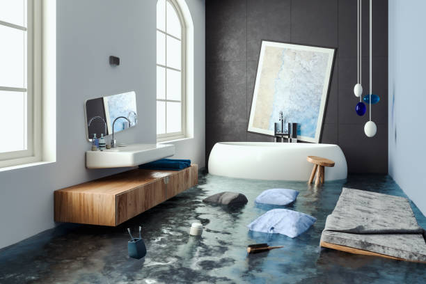 Francisville, KY Water damage restoration Company