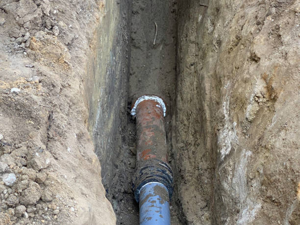 Best Local water damage restoration  in Francisville, KY