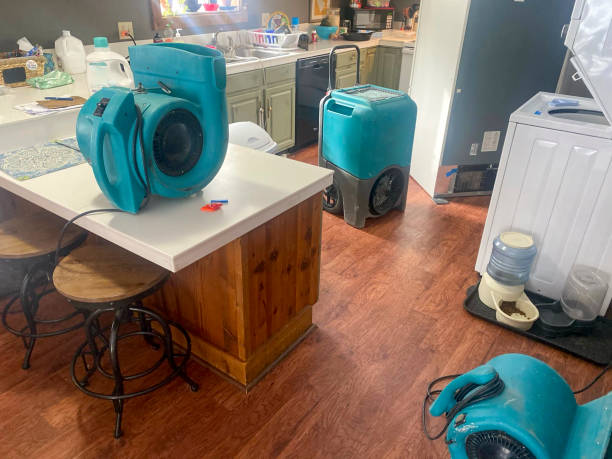  Francisville, KY Water damage restoration Pros