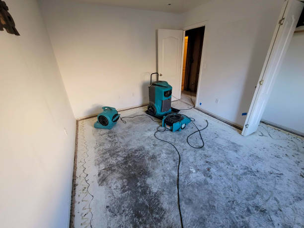 Best Flood restoration services  in Francisville, KY