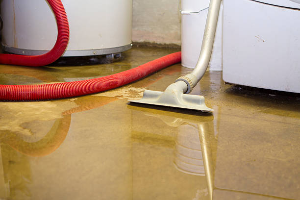 Best 24/7 water damage repair  in Francisville, KY