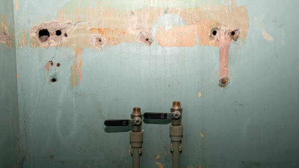 Best Commercial water damage restoration  in Francisville, KY
