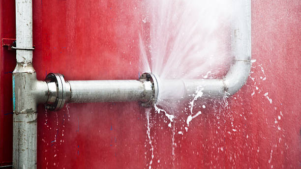 Best Water damage restoration near me  in Francisville, KY